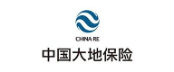 中国大地保险